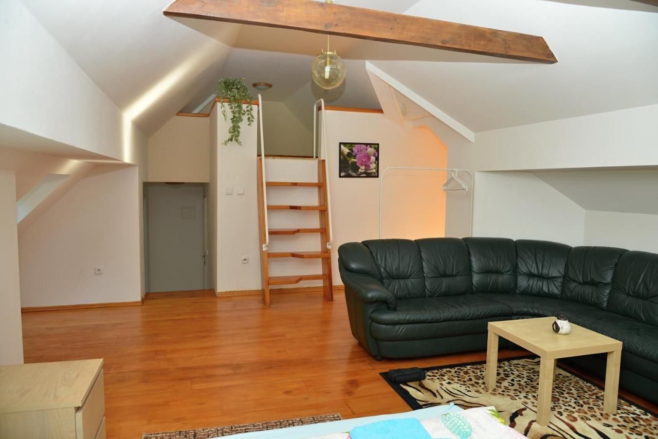 Penzion a Restaurace Pintovka Tábor Esterno foto